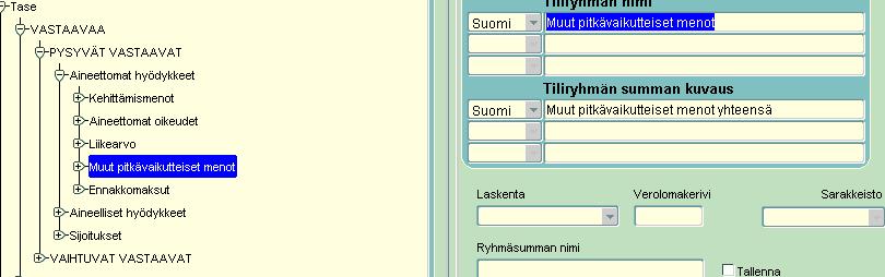 2) Klikkaa Tiliryhmä nimi kohdan selitettä.