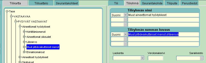 3) Klikkaa Tiliryhmän summan kuvaus kohdan selitettä.