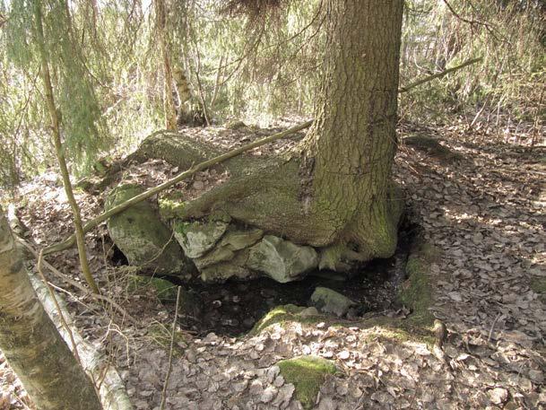 9 6. Lehtoja länsiosan mäkien välissä Kohdekuvaus : Sinivuokko-käenkaali-metsäimarre/ sinivuokko-imikkä-tyypin lehtoja. Arvoluokka : Ei-luonnontilainen metsäluonnon arvokas elinympäristö.