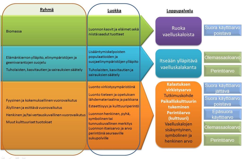 tuottamista hyödyistä loppupalveluihin