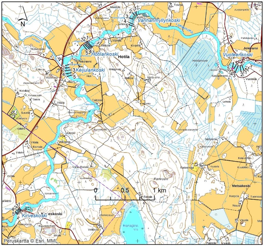 Kuva 26. Tainionvirran poikkileikkausten sijainti viidessä eri koskessa: Vuoteenkoski, Vanhanmyllynkoski, Hotilankoski, Keijulankoski ja Kirveskoski.