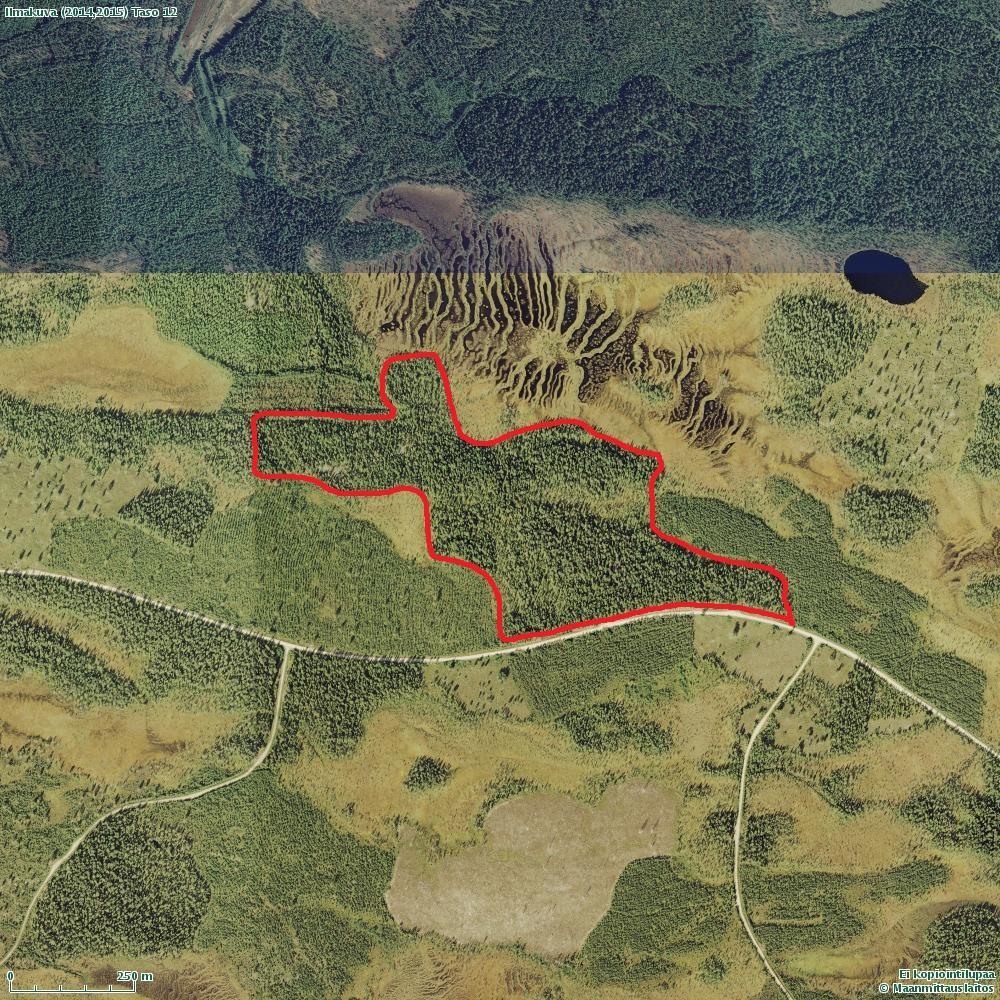 Karhuviidanmaa 7241546:479961, pinta-ala