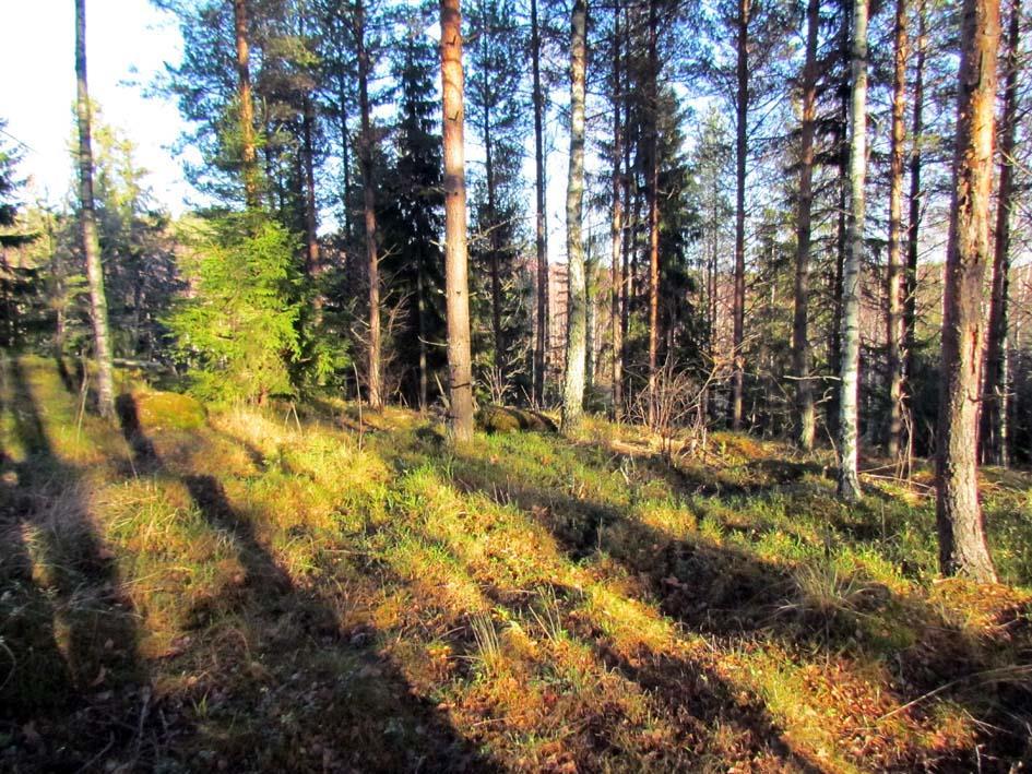 Tuulivoimaloiden sijoitussuunnitelman mukaan toteutetussa arkeologisessa inventoinnissa ei havaittu kiinteitä