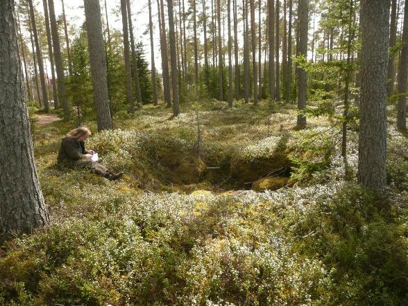 774 Tutkijat: Poutiainen & Rostedt 2010 inventointi Sijainti: Paikka sijaitsee Ruukin taajaman