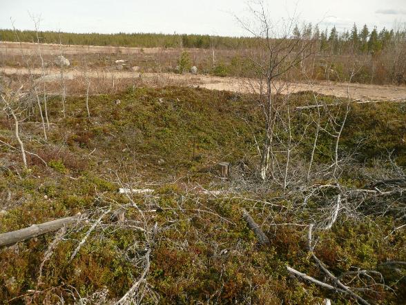 Hauta tietoisesti säästetty hiekanotolta Kartta kohteen 77 yhteydessä.