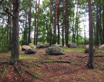 Luistarin muinaispuisto Luistarin tunnetuin löytö on Euran emännän hauta, jonka aarteiden perusteella Euran muinaispuku on rekonstruoitu.
