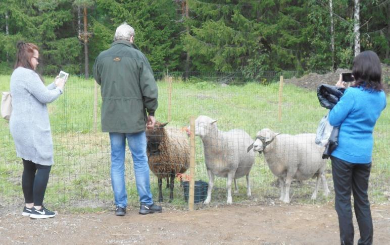 Pihalle oli järjestetty monenlaista myytävää, katsottavaa ja kosketeltavaa kuten kolme lainaksi