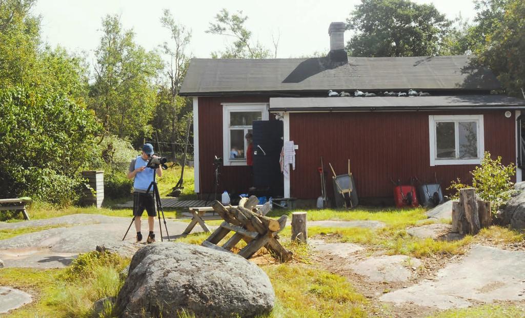 OSA 4: KEVÄT VESILINNUISTA KERTTUSIIN Muuton ajoittuminen eri ikäluokilla ja sukupuolilla Hangon lintuasemalla rengastusten perusteella.