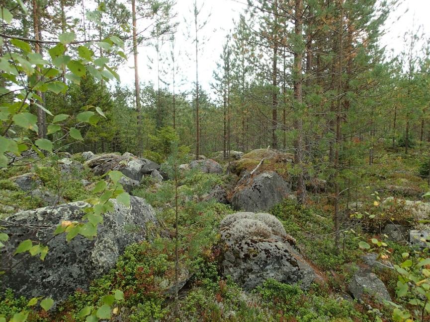 Hiekkamaaperäisellä alueella maa on viety pois ja hiekkakuoppa-alueen länsipuolella tielinja kulkee hyvin kivikkoisessa moreenimaastossa, mitä maasto on Hituraan saakka.