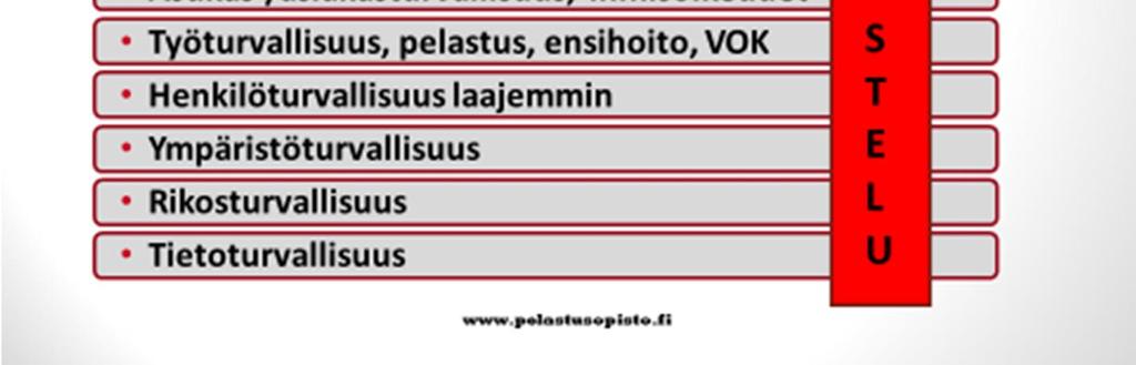 Tämä Pelastusopiston raportti on Sisäministeriön julkaisun rinnakkainen julkaisu, ja on sisällöltään samansuuntainen kuin kantokykyhankkeen turvallisuusosio, mutta laajempi ja kuvailevampi.