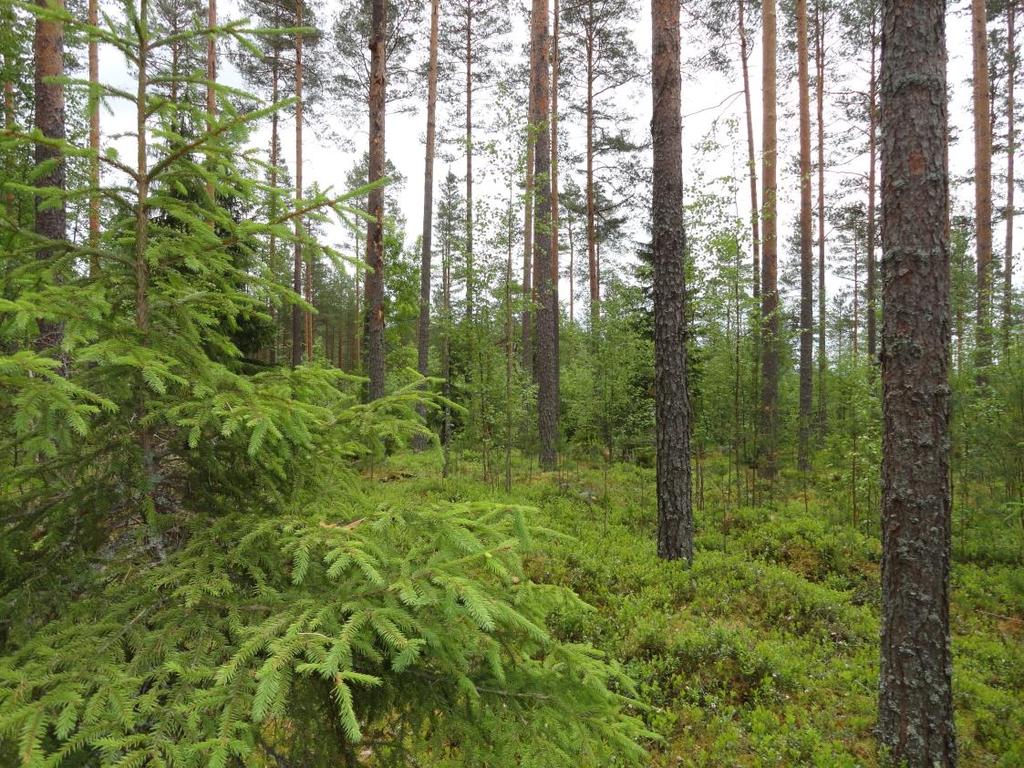 KANKAANPÄÄN KAUPUNKI Kankaanpään kaupungin 4.