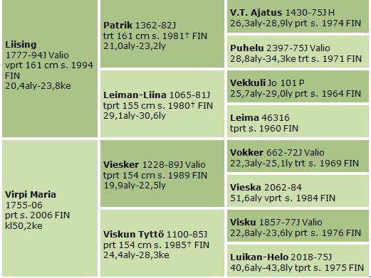 t. Kaunis Tyttö syntynyt: 15.4.2013 väri: punarautias kasvattaja: Mattilan Tila, Laukaa Hienorakenteinen ja fiksu tamma, jolla on hyvät jalat.