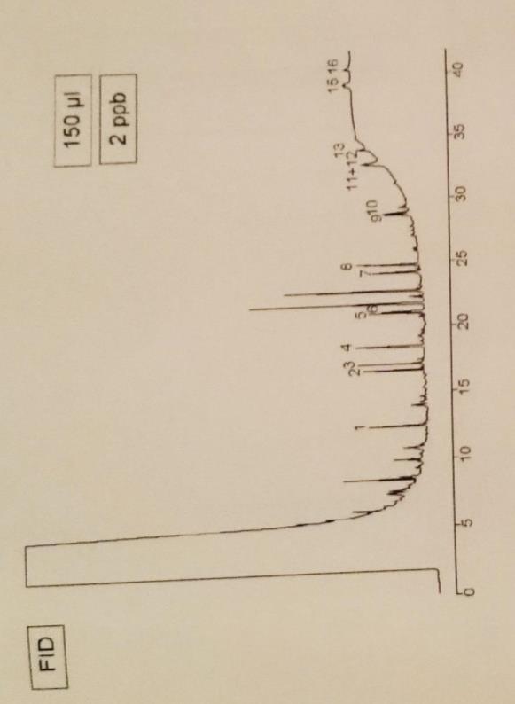 10 Kuva 3. Esimerkkikromatogrammi polyaromaattisia hiilivetyjä (2 ppb) sisältävästä jokivesiuuttesta, joka on mitattu GC-FID-laitteella.