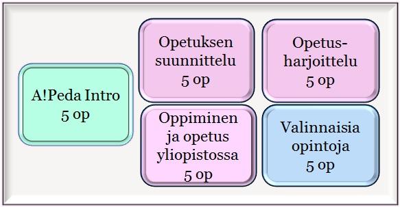 Aalto-yliopiston pedagoginen