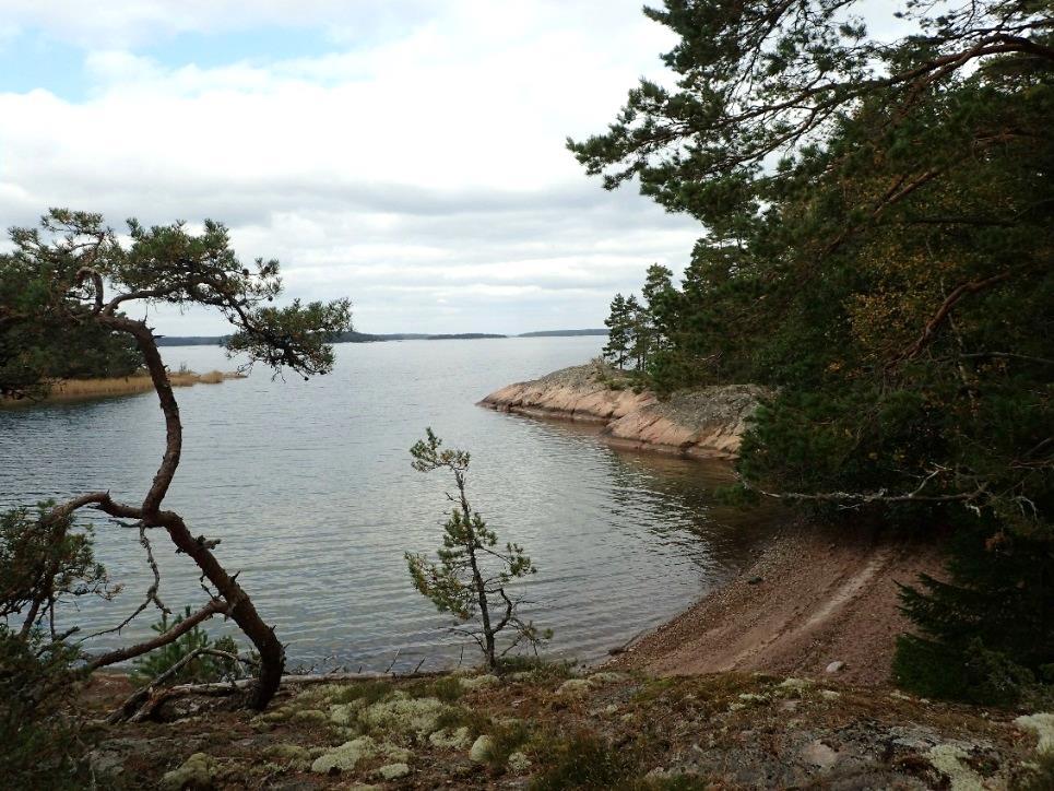 1 RAASEPORI Bromarv kiinteistöjen Örnvik,