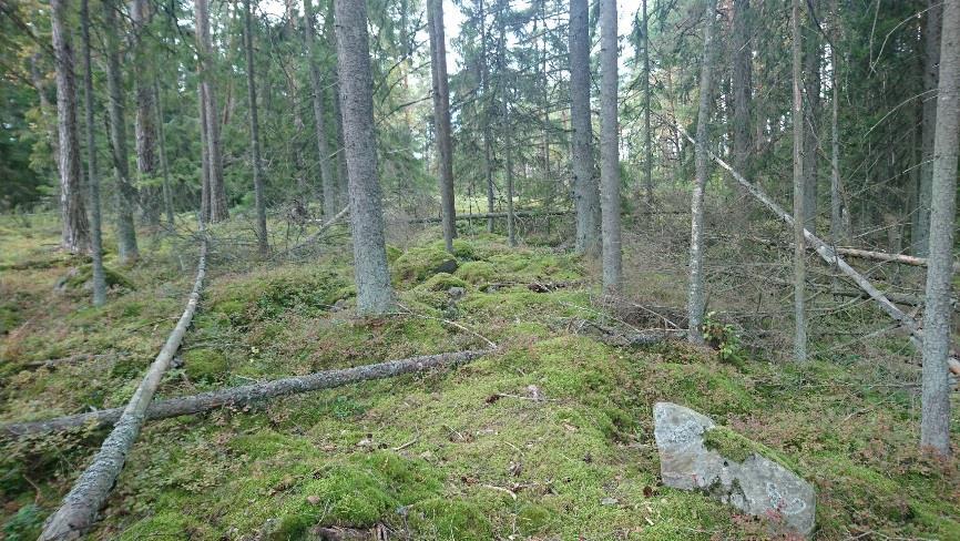 Kilometri itään sijaitsee Kalvdalin vanha talonpaikka tarkastamaton, mahdollinen muinaisjäännös. Aluetta kuvaavien vanhojen karttojen (kts.