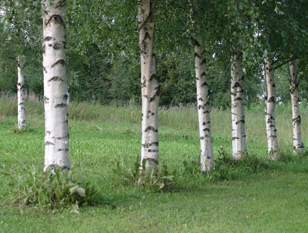 Keski-Pohjanmaan maakuntauudistuksen eteneminen Alueen