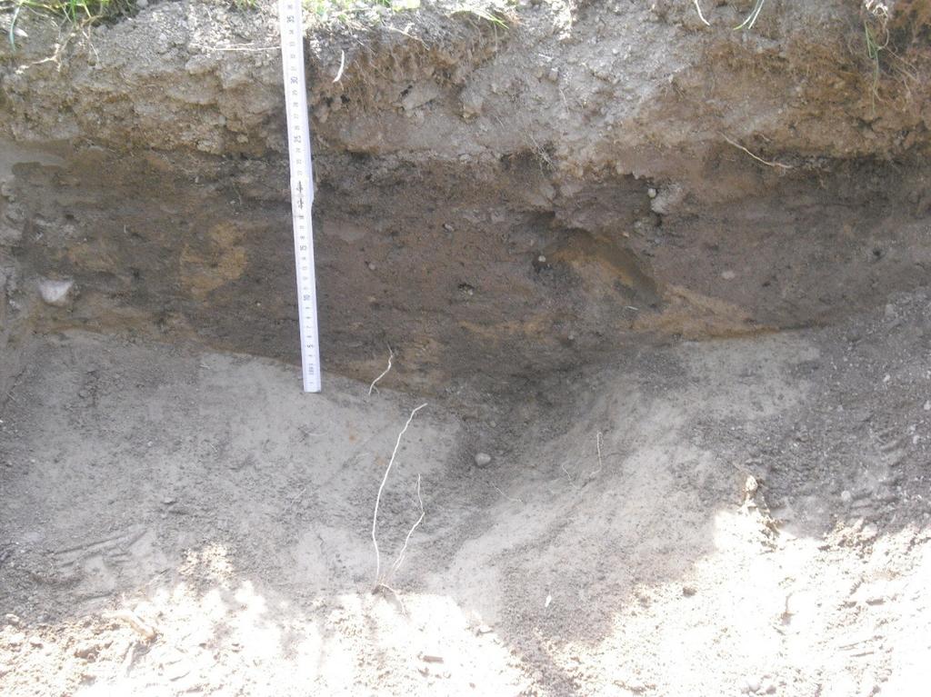12 Kuopan itäpäässä oli kymmenkunta senttiä täytehiekkaa ja 15-25 cm sekoittunutta peltokerrosta (kuva 9). Länsipäädyssä oli tummempi ja löyhempi tumma alue kuin muualla (kuvat 8 ja 10).