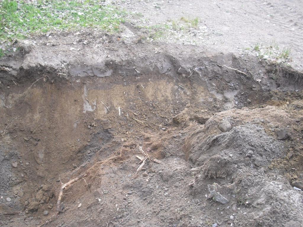 21 3.3. Alue C Alue C sijaitsi leikkivälinealueen itäreunalla. Täältä poistettiin keinu ja sen betoninen perusta. Lisäksi alueelta siirrettiin tasapainoilulauta alueelle A.
