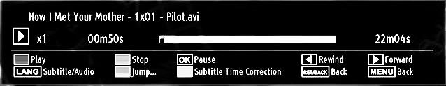 The following menu will be displayed while playing a video fi le: Play (RED button): Starts the video playback. Stop (BLUE button): Stops the video playback.