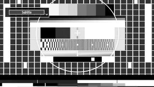 Auto When a WSS (Wide Screen Signalling) signal, which shows the aspect ratio of the picture, is included in the broadcast signal or the signal from an external device, the TV automatically changes