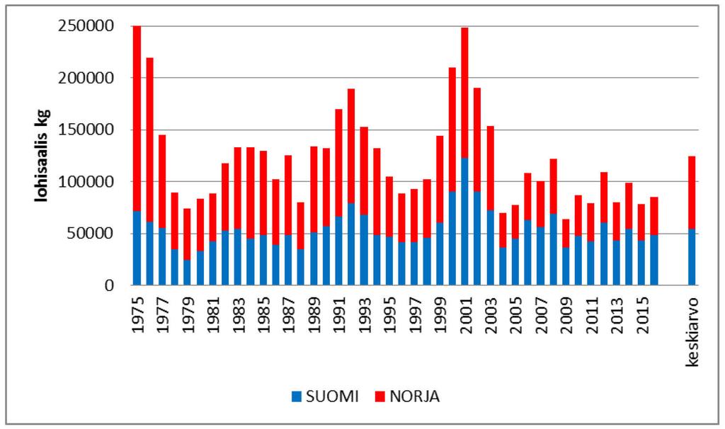 4. Tenojoen vesistöalueen lohisaaliit 4.1. Tenojoen lohisaalis 85 tonnia vuonna 2016 Kalastuskaudella 2016 Tenojoesta saatiin 85,3 tonnia lohta.