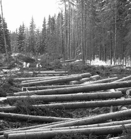 Korjuupalvelun kautta myydyn puun myyntitulo on verotuksessa hankintakauppatuloa. Metsävähennys tehdään korjuupalvelun tekemissä hankintakaupoissa koko puunmyyntitulosta.