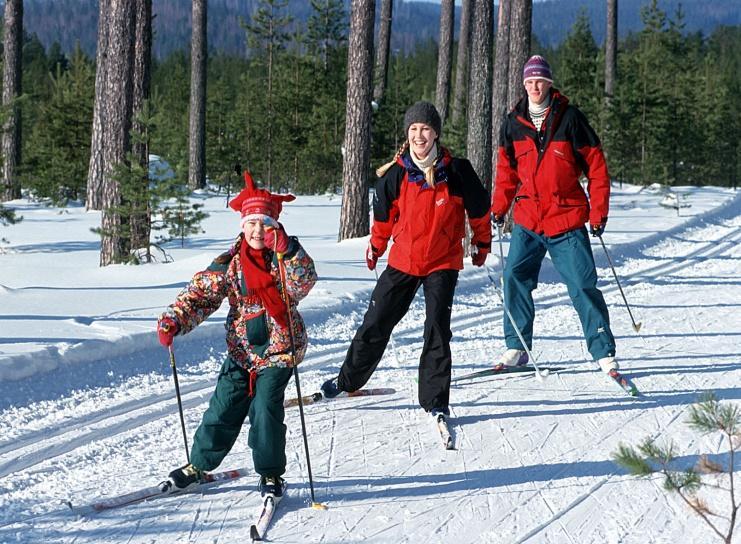 tutkimusohjelma