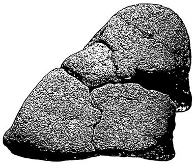 208 Kvartsi-iskos, 1 kpl, 8,8 g. X=209,49/Y=153,87/Z=60,25. Mitat: 42 mm x 22 mm x 8 mm.