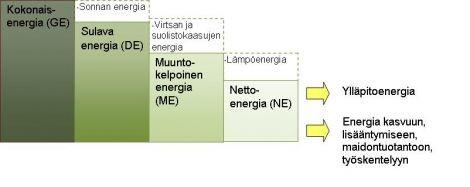 Energian