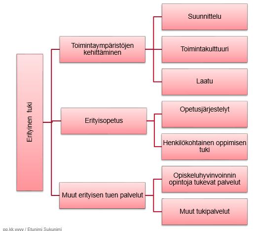 Mitä on erityinen tuki?