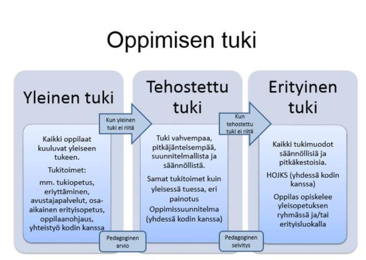 Tuen kolmiportaisuus Peruskoulussa Yleinen tuki Ammatillinen koulutus 1.