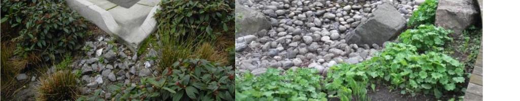 Koko Hiekkaharjun alueella runsas puolet asunnoista on kuitenkin kerrostaloissa. Valtaosa asukkaista asuu omistusasunnoissa. Vuoden 2016 väestönlaskennassa Hiekkaharjussa oli noin 5071 asukasta.