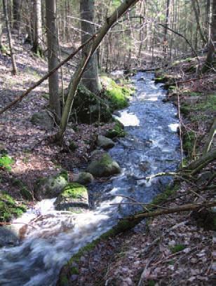 säilymiseen ja puron virtaamiin sekä vedenlaatuun. Olisikin erittäin suositeltavaa pidättäytyä intensiivisemmästä metsätaloudesta ainakin puron välittömässä läheisyydessä.