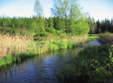 Joessa on kolme selkeää koskipaikkaa ja joitakin pienempiä nopeammin virtaavia kovapohjaisia osuuksia. Koskipaikoissa on pohjamateriaalina hiekkaa, soraa ja pienempää kiviainesta.