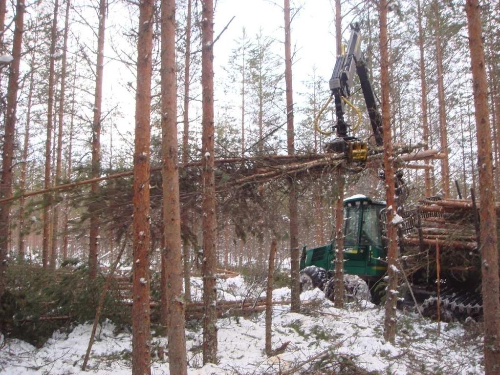 8 220 miljoonan euron lisäystä metsänomistajien sekä korjuu- ja kuljetusyrittäjien liikevaihtoon. Metsäohjelma lisäisi maaseudun elinvoimaisuutta.