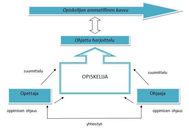 21 harjoittelun tavoitteista tulisi sopia paremmin käytännön työharjoittelun ohjaajan ja koulun välillä ja opiskelijoiden edistymistä tulisi seurata tarkemmin (Ahola ym. 2005).