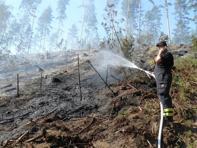 Rehevöittäviä ravinteita vähennetään poistamalla hakkuutähteitä ja kariketta paahdekohteilta. Hakkuutähteet poltetaan mahdollisuuksien mukaan.