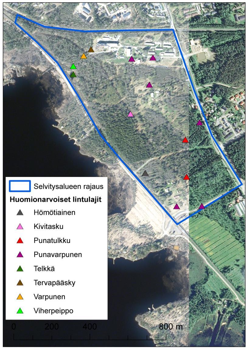 9 alaisiin (Rassi 2010 ym.) ja harvinaisiin lajeihin, lintudirektiivin liitteen I lajeihin sekä Suomen kansainvälisen linnustonseurannan erityisvastuulajeihin.