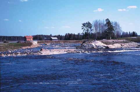 Tolosen ja Sivilin (23) ja Tolosen (23) vuosiraporteissa. Tämä raportti sisältää yhteenvedon Kyrönjoen yläosan vesistötöiden vaikutuksista, jossa huomioidaan myös erillisraporttien tulokset.