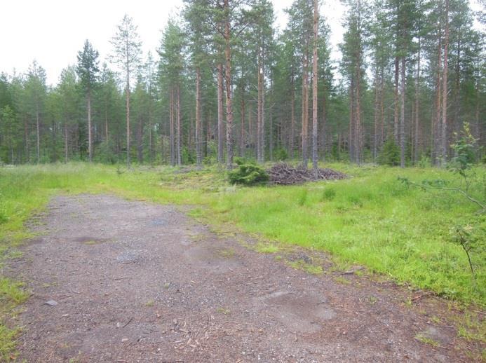 Uoman ympäristöt ovat molemmin puolin avohakattuja.