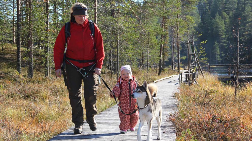 3 LUONTOMATKAILUN ASIAKKAAT JA TULEVAISUUS Asiakkaiden ymmärtäminen on tärkeää, jotta viestintää, markkinointia ja tuotteistusta osataan kehittää siten, että se tavoittaa oikeat kohderyhmät.