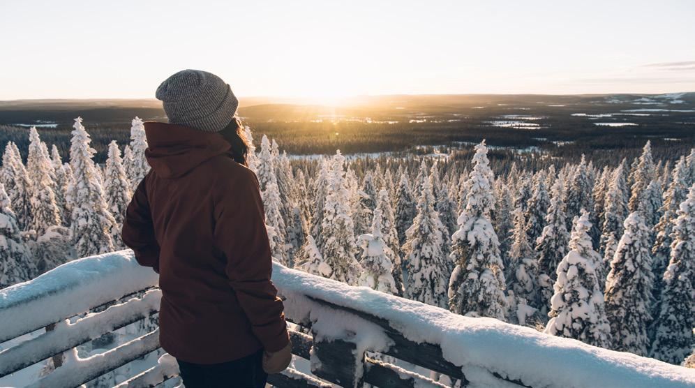 4 ASIAKKAAN PALVELUPOLKU JA BRÄNDIN RAKENTAMINEN Kuten aikaisemmin on todettu, luontomatkailun suosio on kasvussa.