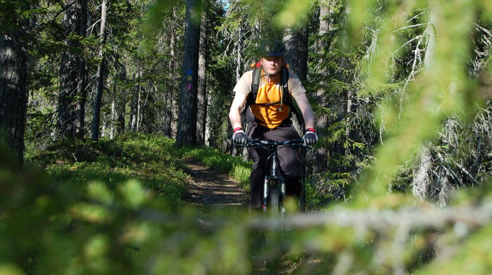 LUONTOMATKAILU- SUUNNITELMA, MIKSI? Syöte on merkittävä matkailukohde Pohjois-Suomessa.