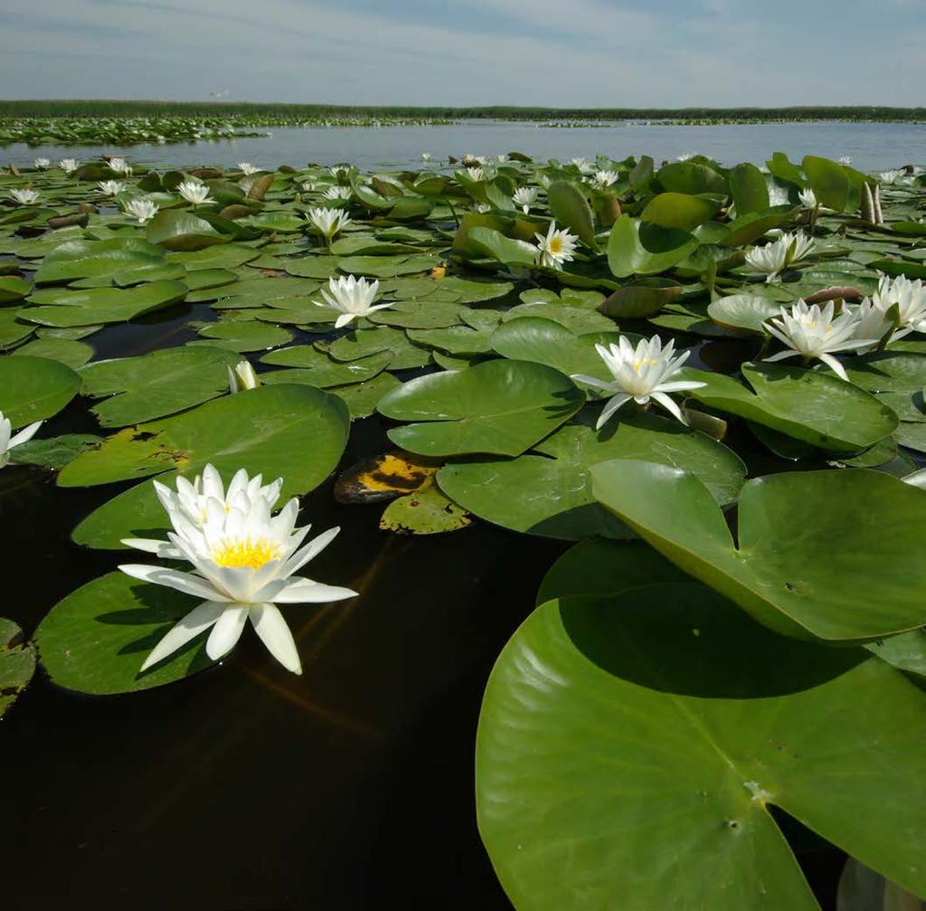 2 components of the european charter for SuStainable tourism in Protected areas Author: Dr.