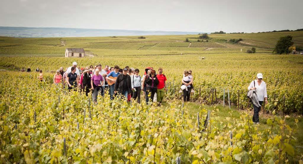 Fanny Husson, Loges de vigne - Parc Naturel Régional de la Montagne de Reims (FR) // Sustainability in Protected Areas is an ensemble The verifier will conduct interviews with personnel of the