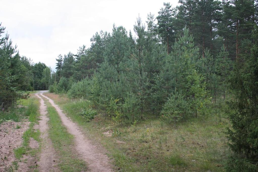 kuitenkin kaavoitettu omakotitontteja, joten kunnostuksesta saatu ilo ja hyöty saattaisi jäädä lyhytaikaiseksi. Keto olisi melko helposti kunnostettavissa, mutta sen paikalle on kaavoitettu tontteja.