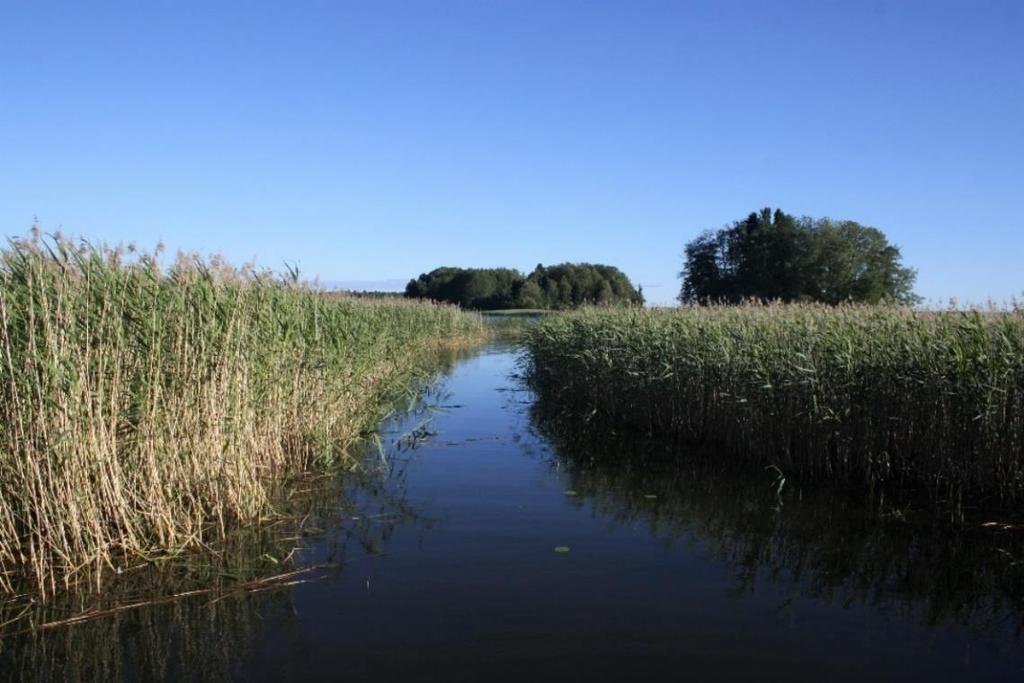 Ristola Ristolan kyläyhdistyksen alueeseen kuuluu monta pienempää kylää järven pohjoispäässä, mutta varsinaista kylätaajamaa ei ole. Toiminta-alue on laaja ja kyläkierros tehtiinkin autolla.