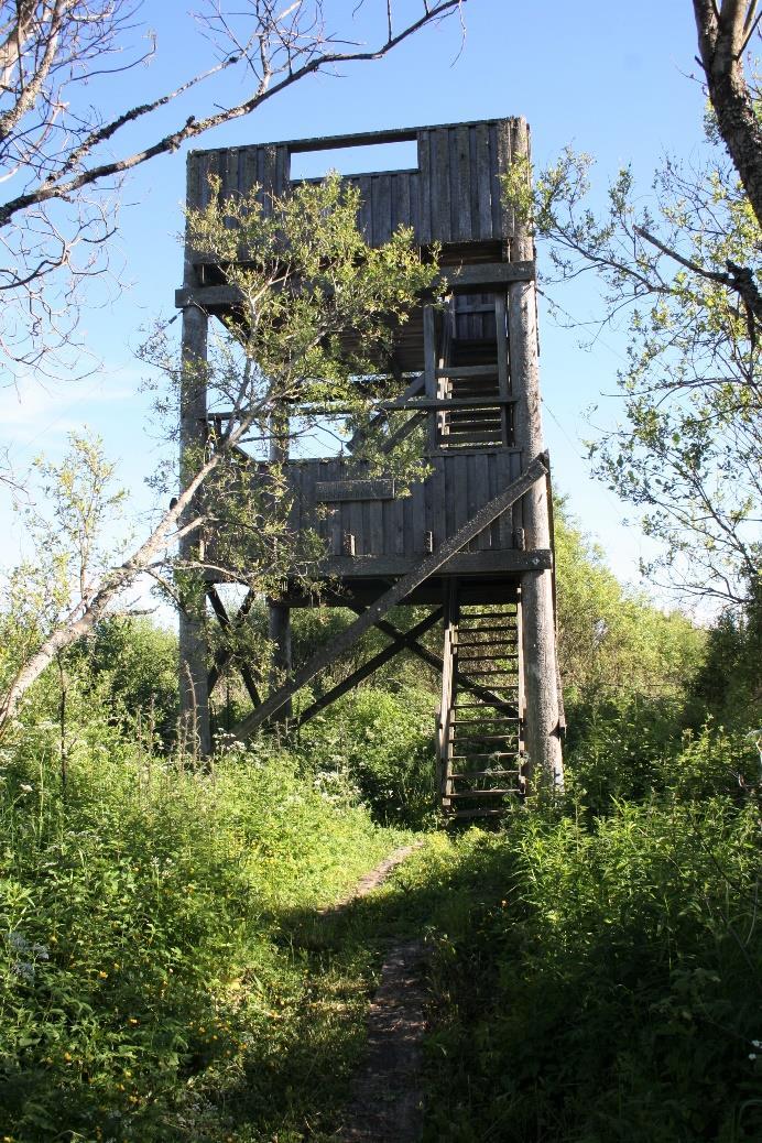 Talviaikainen liikenne järvelle kulkee suurimmaksi osaksi Pispan ja Taren rantojen kautta, mikä aiheuttaa lisävaatimuksia tien ylläpidolle ja parkkipaikkojen järjestämiselle.