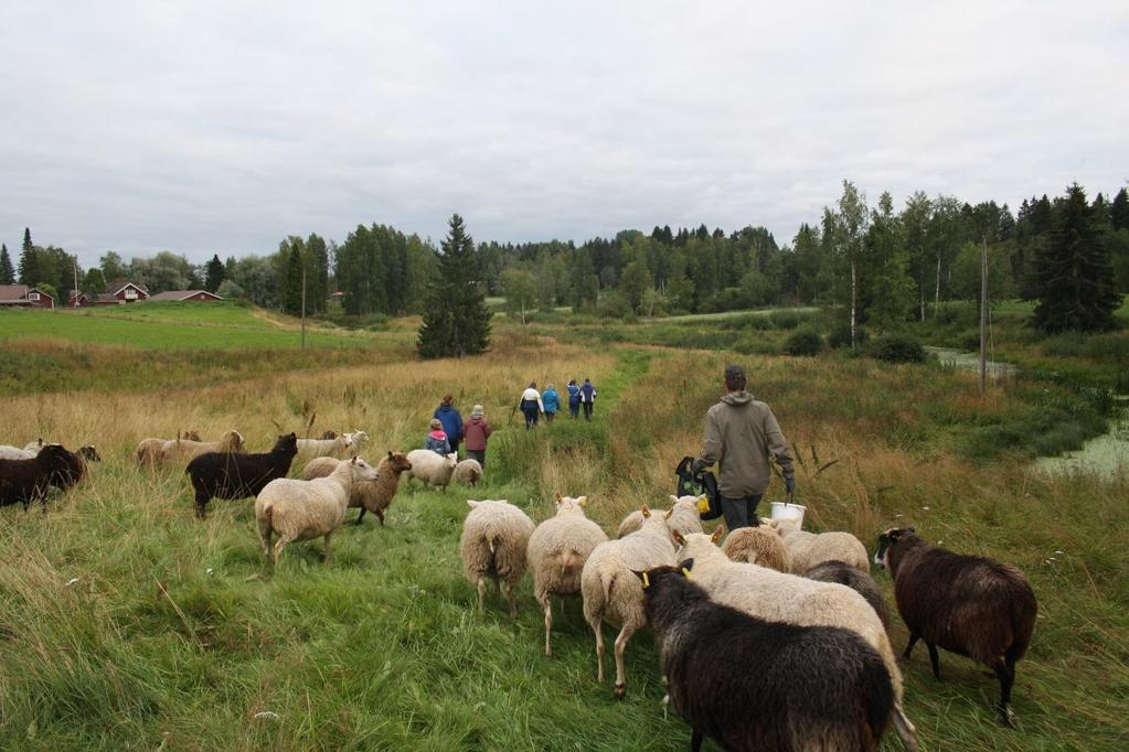 Tuiskulassa. Kyläkierrosten jälkeen järjestettiin vielä suunnittelupalaveri kartan ääressä Tuiskulassa ja Yttilässä.